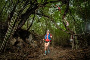 BIB: 
                            <button type="button" onclick="openModal(22178704)" class="btn btn-primary btn-sm float-right btn-popup" data-toggle="modal" data-target=".modal-high-quality">
                        <i class="fas fa-shopping-cart"></i> Add to Cart
                    </button>
                                            <button type="button" onclick="isThisMe(22178704, true)" class="btn btn-success btn-sm float-right btn-popup btn-isme hidden" data-toggle="tooltip" data-placement="bottom" title="นี่คือรูปของคุณใช่ไหม คลิกที่นี่เพื่อเอาเข้าอัลบั้ม">
                        <i class="fas fa-plus"></i> Add to album
                    </button>
                    <button type="button" onclick="isThisMe(22178704, false)" class="btn btn-warning btn-sm float-right btn-popup btn-isnotme hidden">
                        <i class="fas fa-ban"></i> Remove from album
                    </button>